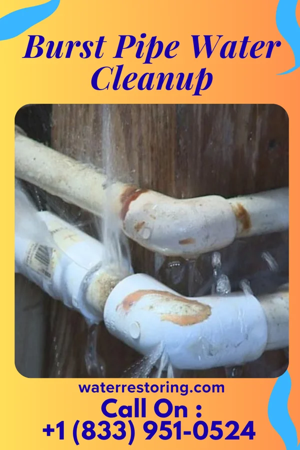 Burst Pipe Water Cleanup in Shinnston, WV