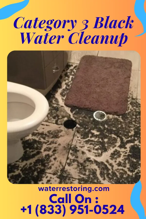 Category 3 Black Water Cleanup in Shinnston, WV