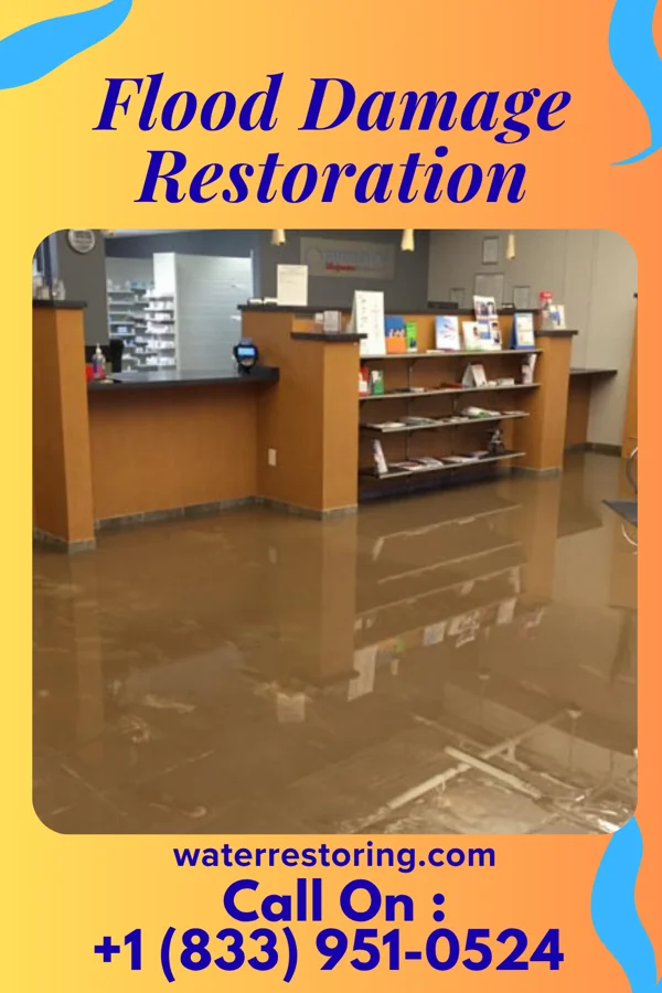 Flood Damage Restoration in Shinnston, WV