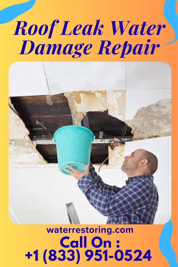 Roof Leak Water Damage Repair in Shinnston, WV